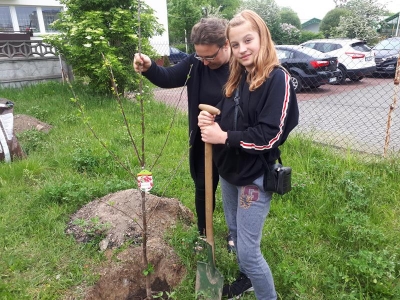 Tradycyjny Sad w SOSW Grodk&oacute;w